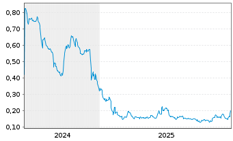 Chart Trigon Metals Inc. - 5 Jahre