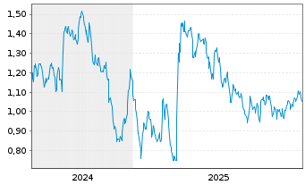 Chart Mini Future Short Chevron - 5 Jahre