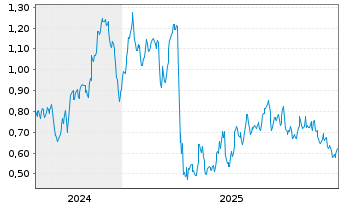 Chart Mini Future Long Chevron - 5 Jahre