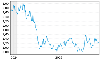 Chart Mini Future Long Porsche - 5 Jahre