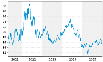 Chart Star Bulk Carries Corp. - 5 Jahre