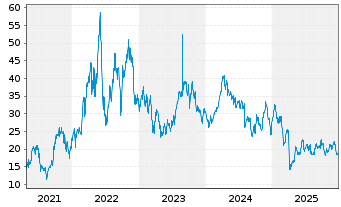 Chart Direxion D.S+P O.+G.E.&P.Bu.2X - 5 Jahre