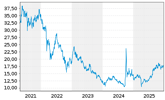 Chart Dir.S.-D.Da.CSI 300C.A Sh.B.2X - 5 Jahre