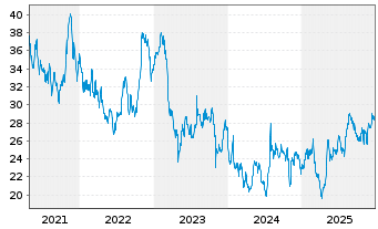 Chart Douglas Dynamics Inc. - 5 Jahre
