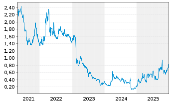 Chart Gold Resource Corp. - 5 Jahre