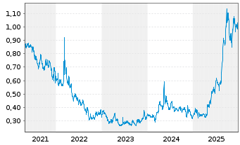Chart Paramount Gold Nevada Corp. - 5 Jahre