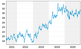 Chart Radian Group Inc. - 5 Jahre