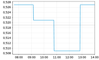Chart Tudor Gold Corp. - Intraday