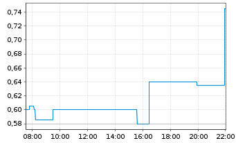 Chart Visionary Copper&Gold Min. Inc - Intraday
