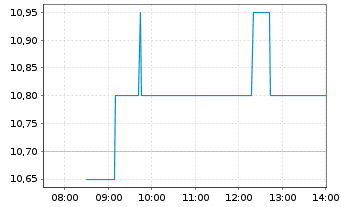 Chart SURTECO GROUP SE - Intraday