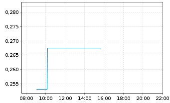 Chart Mini Future Long Volkswagen - Intraday