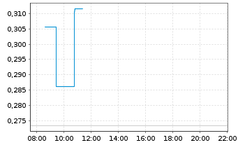Chart Mini Future Short Puma - Intraday