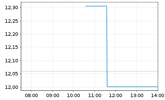 Chart Blackrock Cap.Alloc.Trm Trst - Intraday