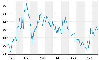 Chart Wienerberger AG - 1 Jahr