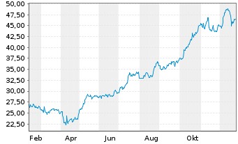 Chart Badger Infrastructure Sol.Ltd. - 1 Jahr