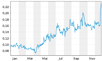 Chart Endurance Gold Corp. - 1 Year