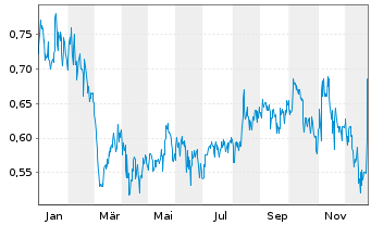 Chart NG Energy International Corp. - 1 Jahr