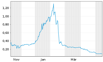 Chart New Earth Resources Corp. - 1 Jahr
