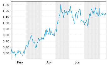 Chart Selkirk Copper Mines Inc. - 1 Jahr