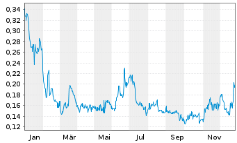 Chart Trigon Metals Inc. - 1 Jahr