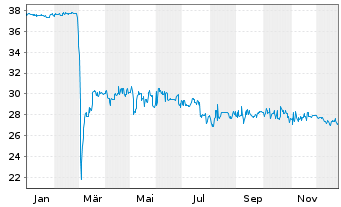 Chart Homag Group AG - 1 Year
