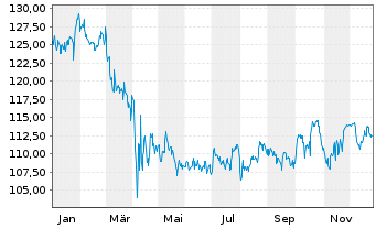 Chart Effecten-Spiegel Aktien-Fonds Inhaber-Anteile - 1 Jahr