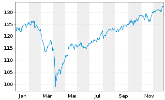 Chart Castell Global Industries Sel. Inhaber-Anteile - 1 Jahr