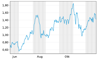 Chart Mini Future Long Palantir - 1 Jahr