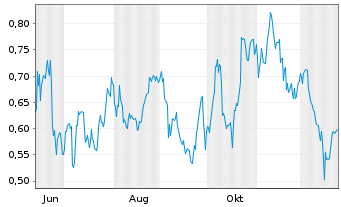 Chart Mini Future Long Shell - 1 Jahr