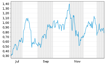 Chart Mini Future Long Palantir - 1 Jahr