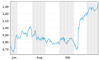Chart Mini Future Long Indus Holding - 1 Jahr