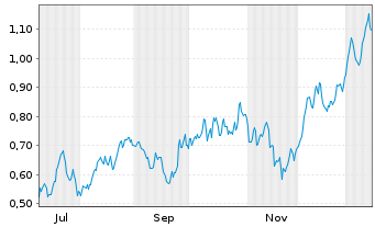 Chart Mini Future Long BHP - 1 Jahr
