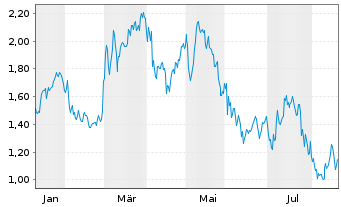 Chart Mini Future Short Industria de Diseno Textil - 1 Year