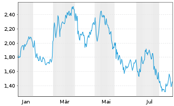 Chart Mini Future Short Industria de Diseno Textil - 1 Year
