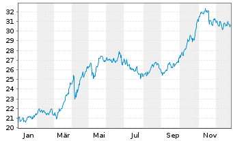 Chart Endesa S.A. - 1 Jahr