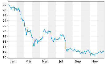 Chart Kornit Digital Ltd. - 1 Jahr