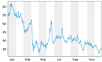 Chart WITR COM.SEC.Z12/UN.INDEX - 1 Jahr