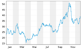Chart Micronics Japan Co. Ltd. - 1 Jahr