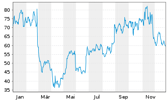 Chart Ambarella Inc. - 1 Jahr