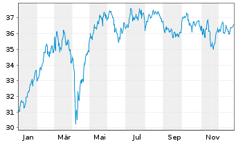 Chart Amu.Idx Sol.Amu.F.A.Z.100 - 1 Jahr