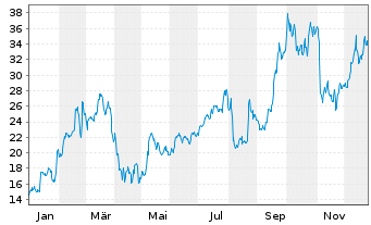 Chart ACM Research Inc. - 1 Jahr