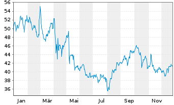 Chart ACI Worldwide Inc. - 1 Jahr