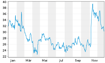 Chart Appian Corp. - 1 Jahr