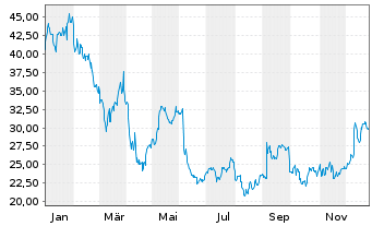 Chart Braze Inc. Shares A - 1 Jahr