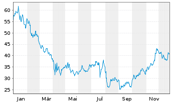 Chart Bruker BioSciences Corp. - 1 Jahr