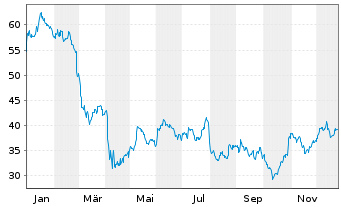 Chart Cactus Inc.  Cl.A - 1 Jahr