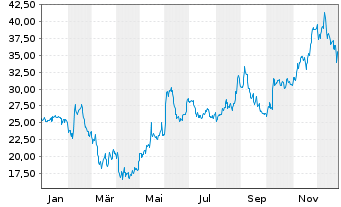 Chart Citi Trends Inc. - 1 Jahr