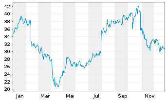 Chart Cognex Corp. - 1 Jahr