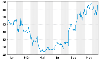 Chart Cytokinetics Inc. - 1 Jahr