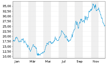 Chart Delek US Holdings Inc. - 1 Jahr